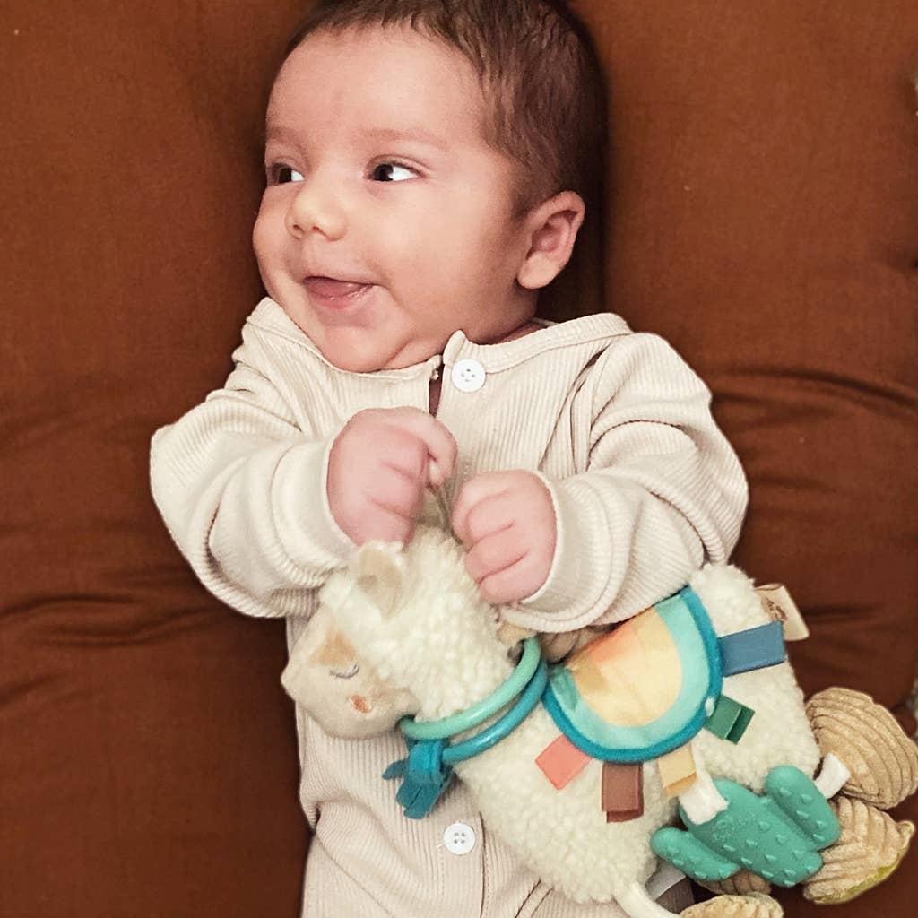 Link & Love™ Activity Plush with Teether - Unicorn