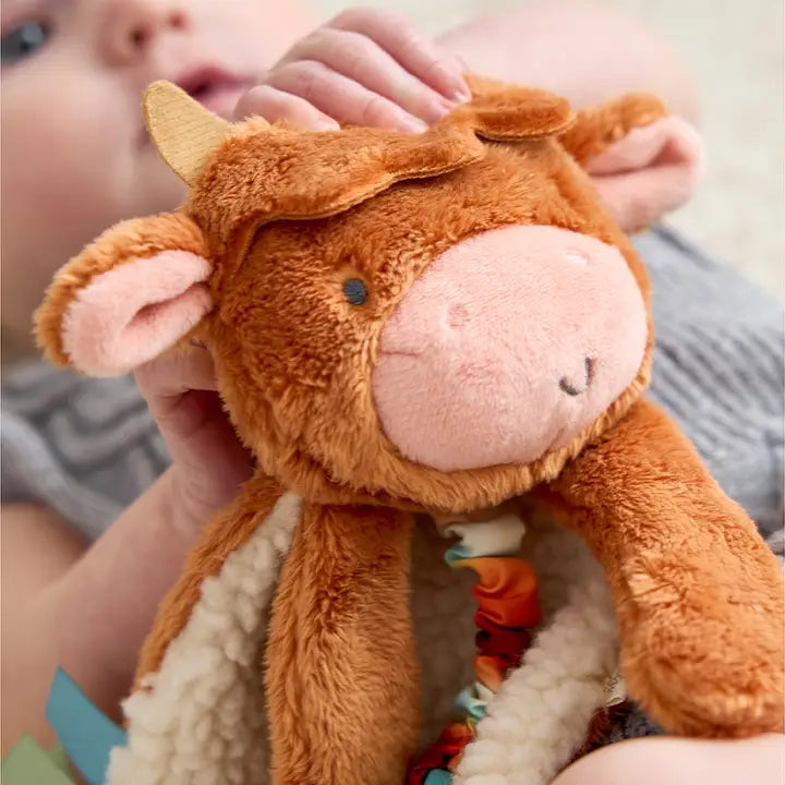 Itzy Lovey™ Plush And Teether Toy - HIghland Cow